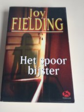 Boek / Joy Fielding - Het spoor bijster