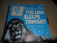 - Single - Tight Fit / The lion sleeps ...